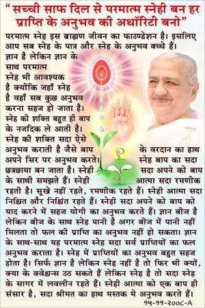 ABD - 2008 - 11 - 15 - A